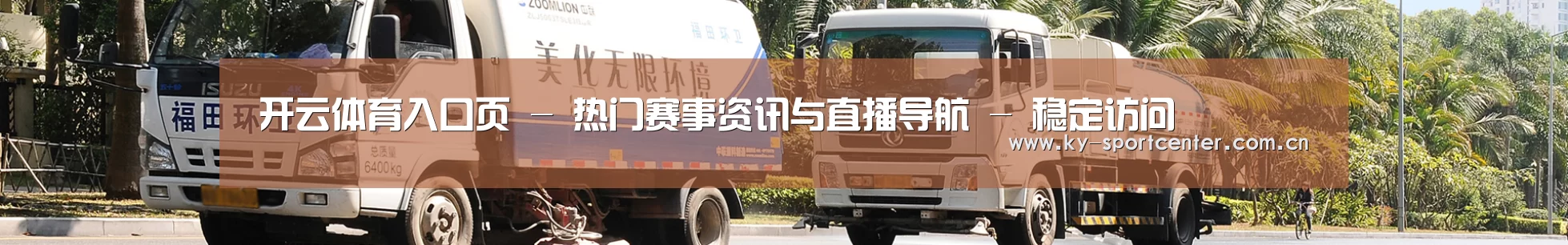 成功案例
