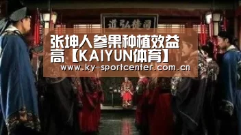 张坤人参果种植效益高【KAIYUN体育】(图1) 开云官方网站