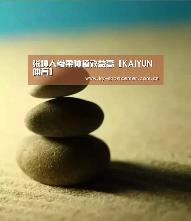 张坤人参果种植效益高【KAIYUN体育】(图2) KAIYUN体育