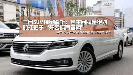开云体育官网