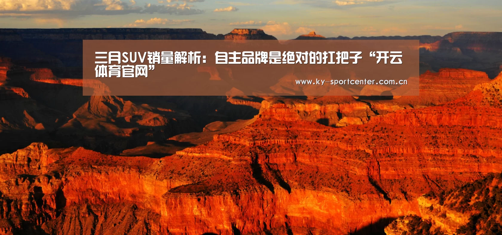开云官方网站