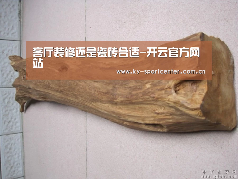 开云体育官网