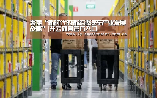 聚焦“新时代的新能源汽车产业发展战略”|开云体育官方入口(图2) 开云官方网站