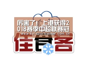 开云体育官方入口