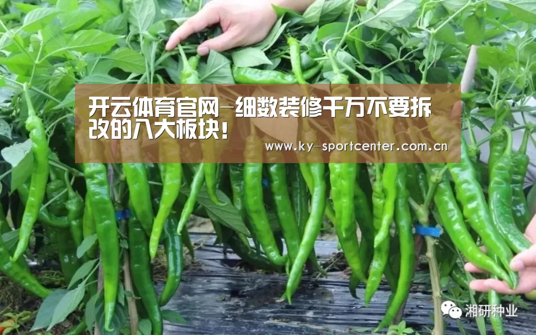 开云体育官网