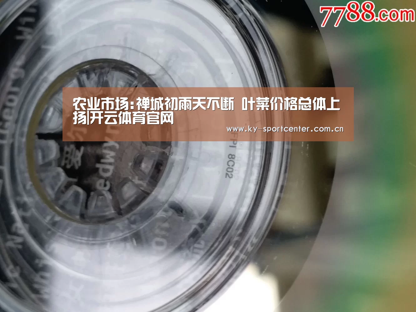 开云体育官方入口