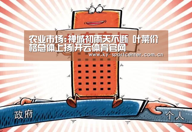 开云官方网站
