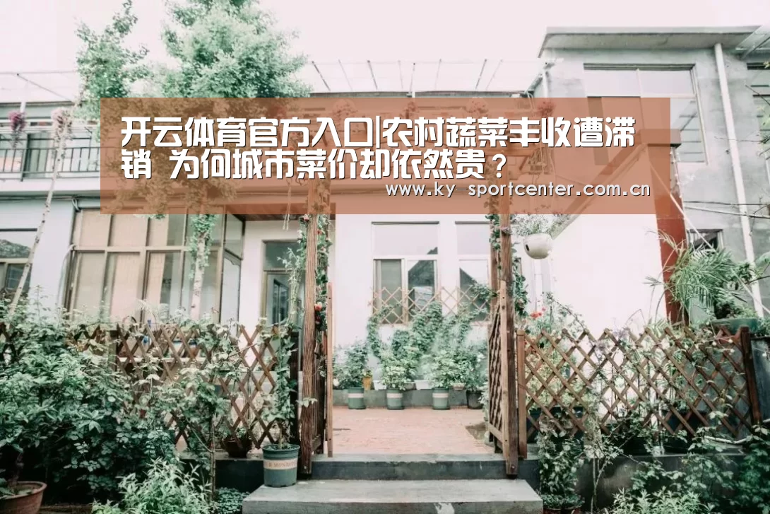 开云体育官网