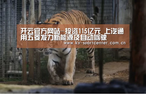 开云官方网站