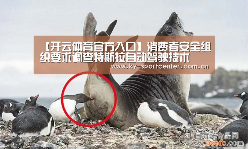 【开云体育官方入口】消费者安全组织要求调查特斯拉自动驾驶技术(图1) KAIYUN体育