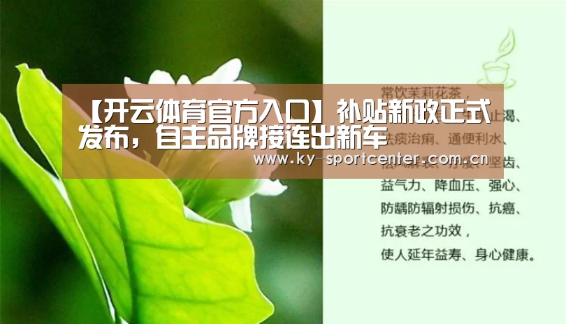 【开云体育官方入口】补贴新政正式发布,自主品牌接连出新车