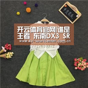 开云体育官网|谁是王者 东南DX3 SRG北京试驾会燃擎开启(图1) KAIYUN体育