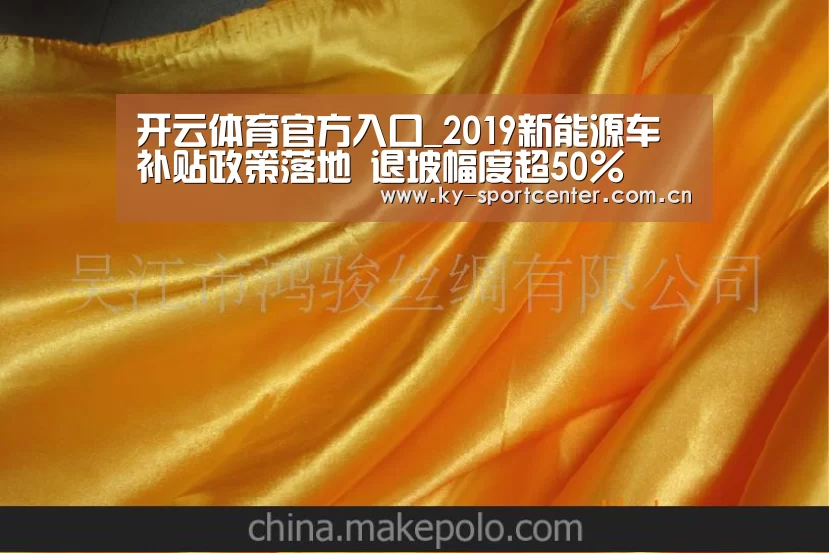 开云体育官方入口_2019新能源车补贴政策落地 退坡幅度超50%(图3) 开云官方网站
