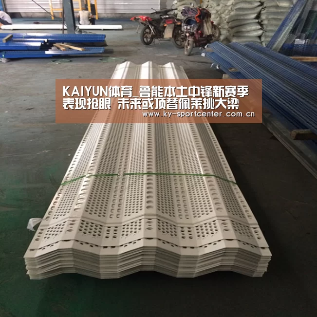 KAIYUN体育_鲁能本土中锋新赛季表现抢眼 未来或顶替佩莱挑大梁(图1) 开云体育官方入口