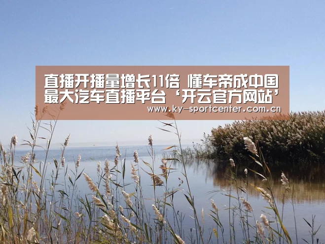 开云体育官网
