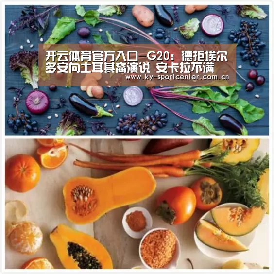 开云体育官方入口-G20:德拒埃尔多安向土耳其裔演说 安卡拉不满(图1) 开云体育官网