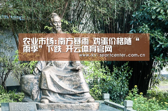 开云官方网站