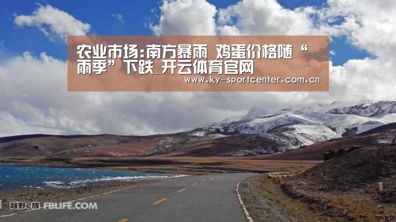 开云体育官网