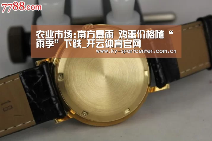 开云官方网站