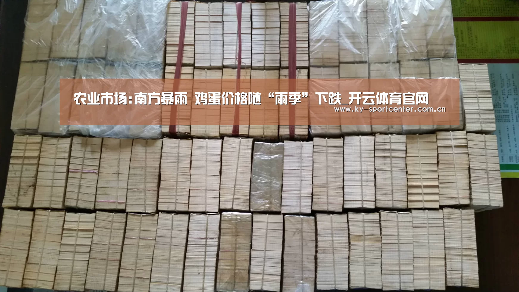 开云体育官方入口