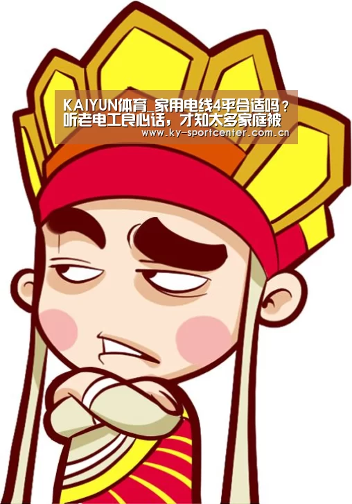 开云体育官网