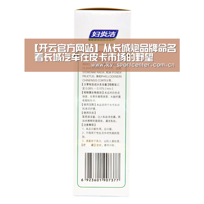 【开云官方网站】从长城炮品牌命名 看长城汽车在皮卡市场的野望(图2) 开云体育官方入口