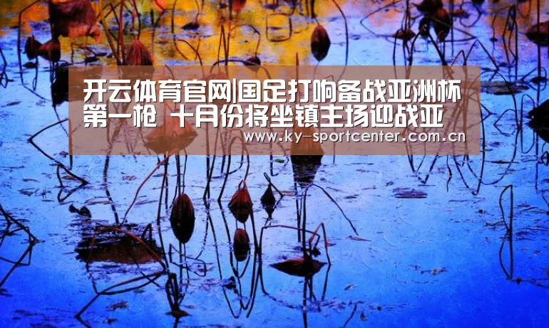 开云体育官方入口