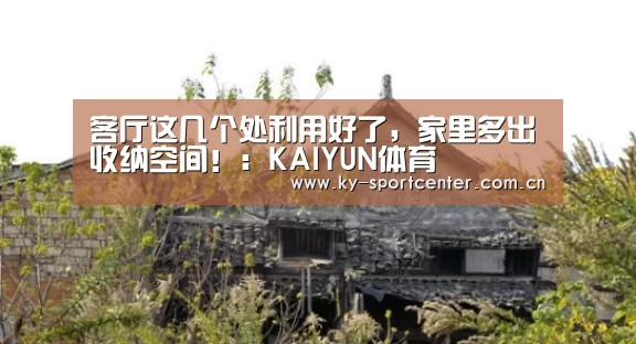 客厅这几个处利用好了,家里多出收纳空间!:KAIYUN体育(图1) 开云体育官网