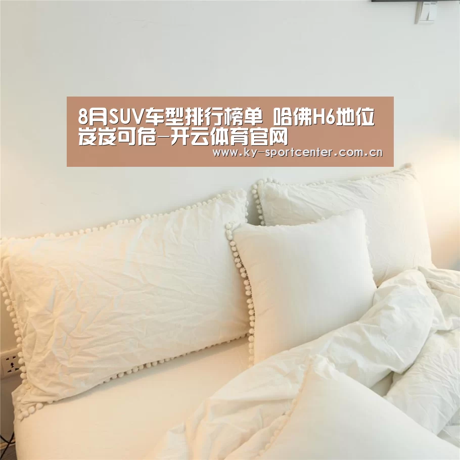 开云官方网站