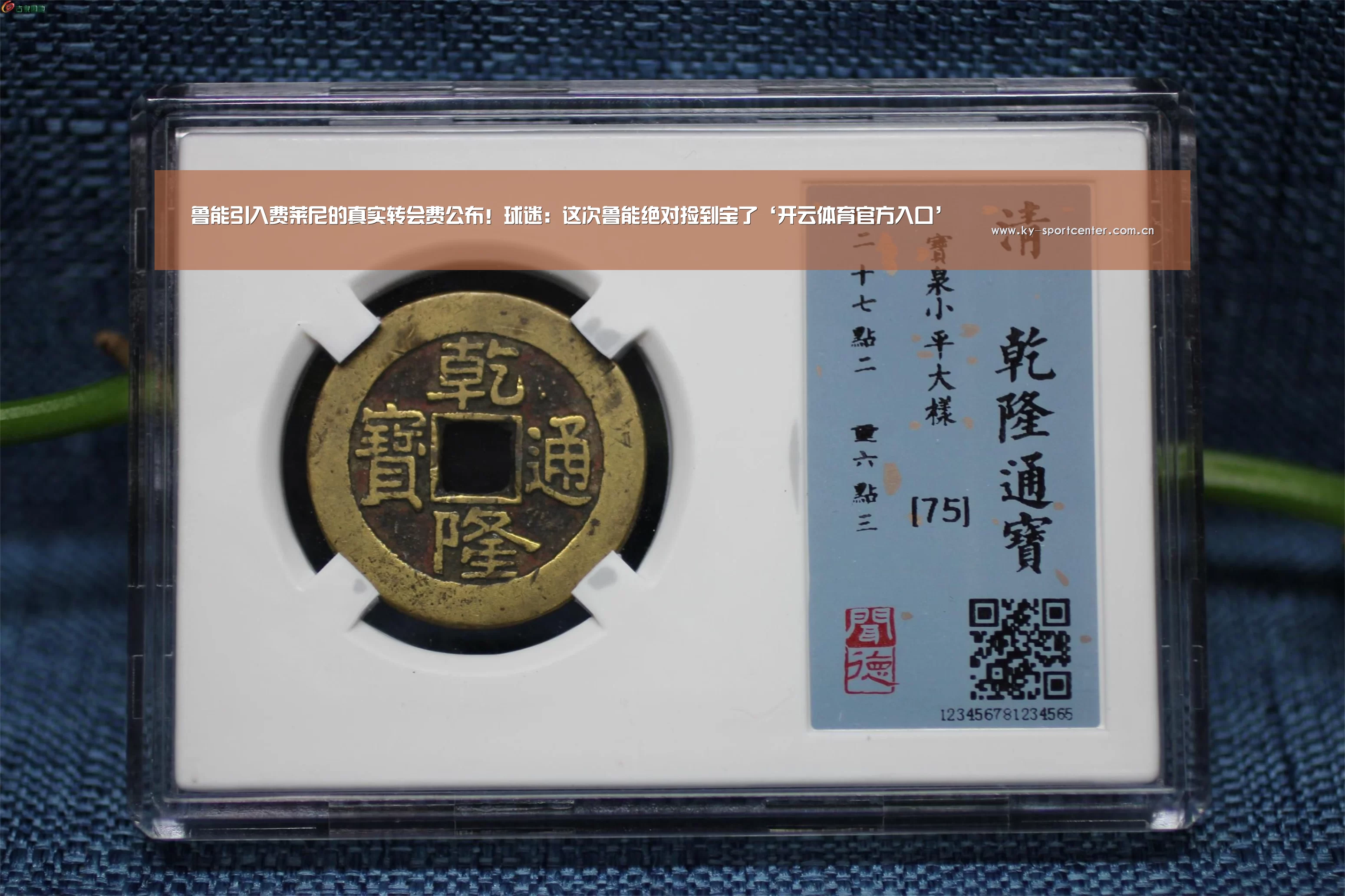 开云官方网站
