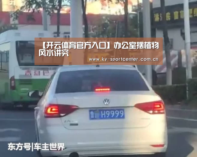 【开云体育官方入口】办公室摆植物风水讲究(图1) 开云体育官网