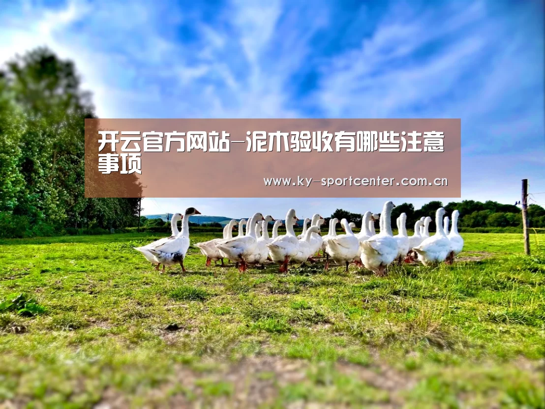 开云官方网站-泥木验收有哪些注意事项(图1) 开云官方网站