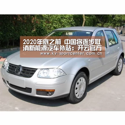 2020年底之前 中国将逐步取消新能源汽车补贴：开云官方网站