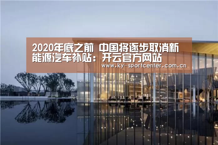 2020年底之前 中国将逐步取消新能源汽车补贴:开云官方网站(图2) 开云体育官方入口